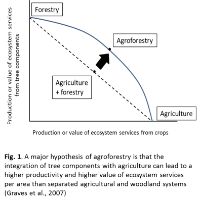 A major hypothesis of agroferestry is that the Integration of tree components with agroculture can lead to higher productivity